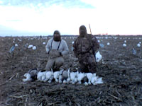 snows1 (10K)